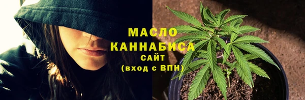 твердый Ладушкин