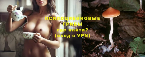 тгк Балахна