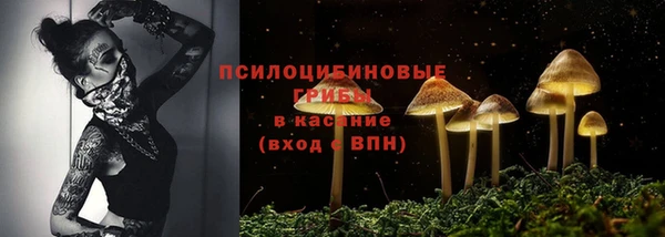кокс Арсеньев