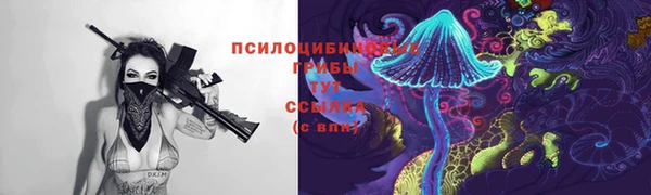 гашиш Аркадак