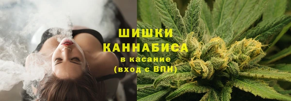 стафф Армянск