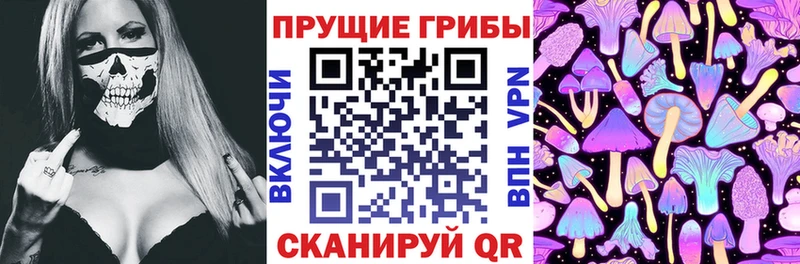 Галлюциногенные грибы Magic Shrooms  Балтийск 