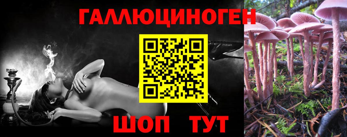 Галлюциногенные грибы Psilocybine cubensis  Вход с VPN  Балтийск 