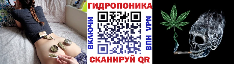 Каннабис индика  купить наркотик  Балтийск 